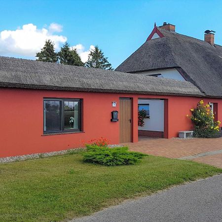 Ferienwohnung Im Roten Haus Stahlbrode ภายนอก รูปภาพ